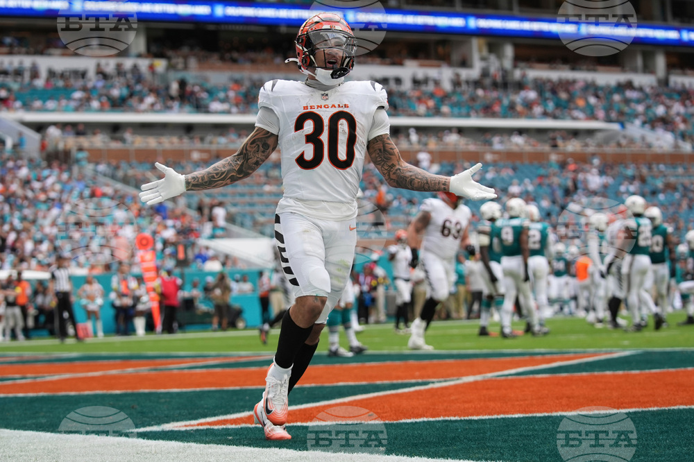 Bengals Dolphins Football