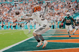 Bengals Dolphins Football