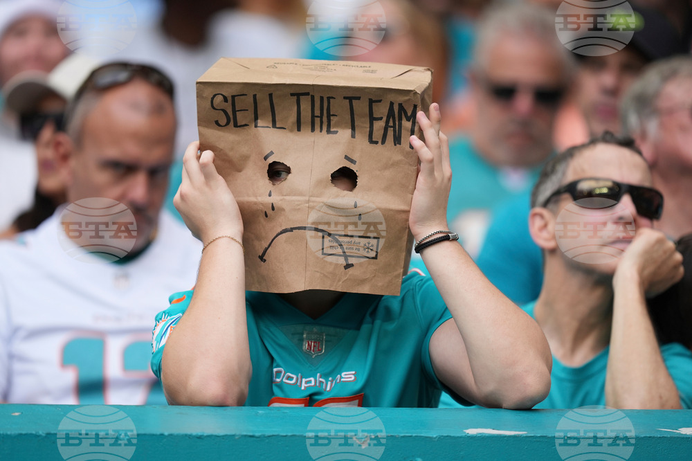 Bengals Dolphins Football