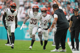 Bengals Dolphins Football