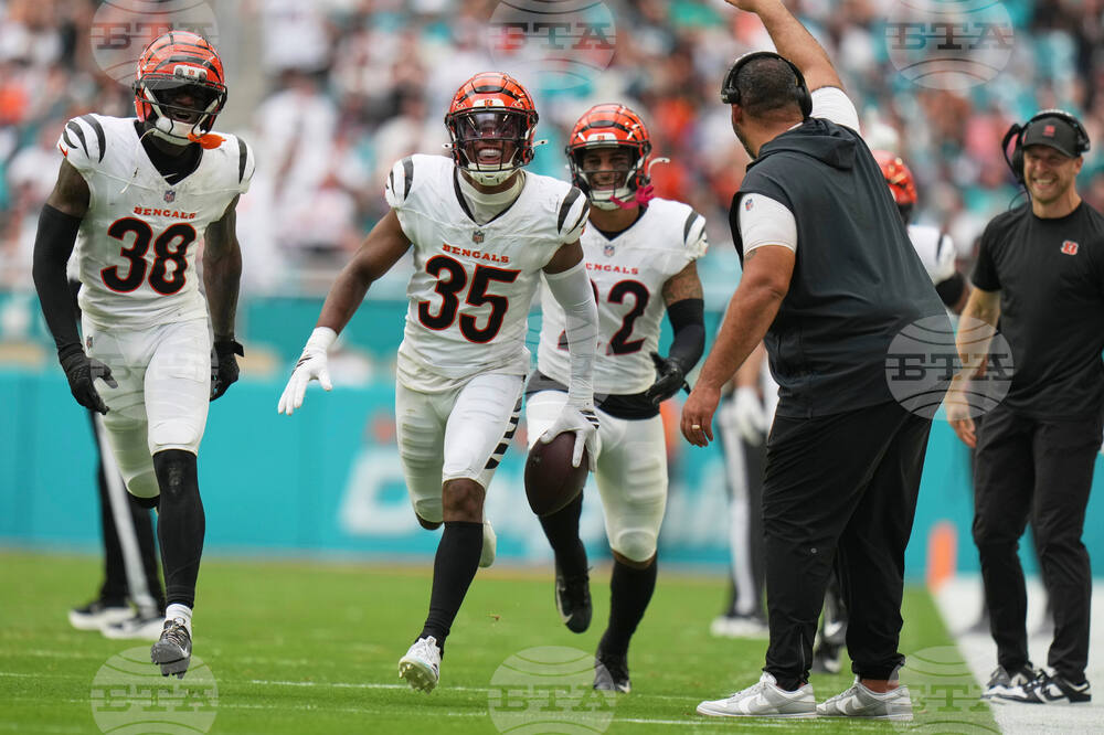 Bengals Dolphins Football