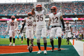 Bengals Dolphins Football