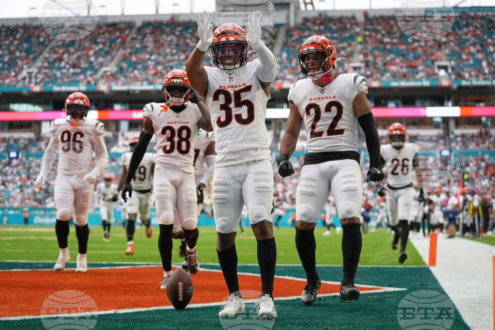 Bengals Dolphins Football