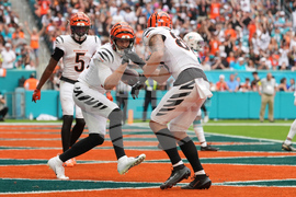 Bengals Dolphins Football