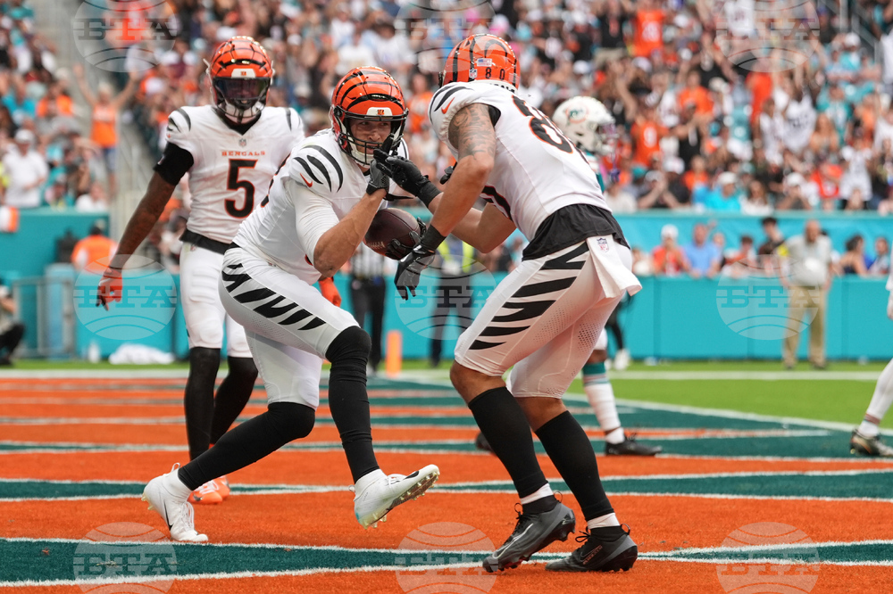 Bengals Dolphins Football