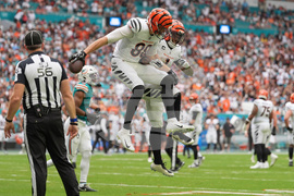 Bengals Dolphins Football