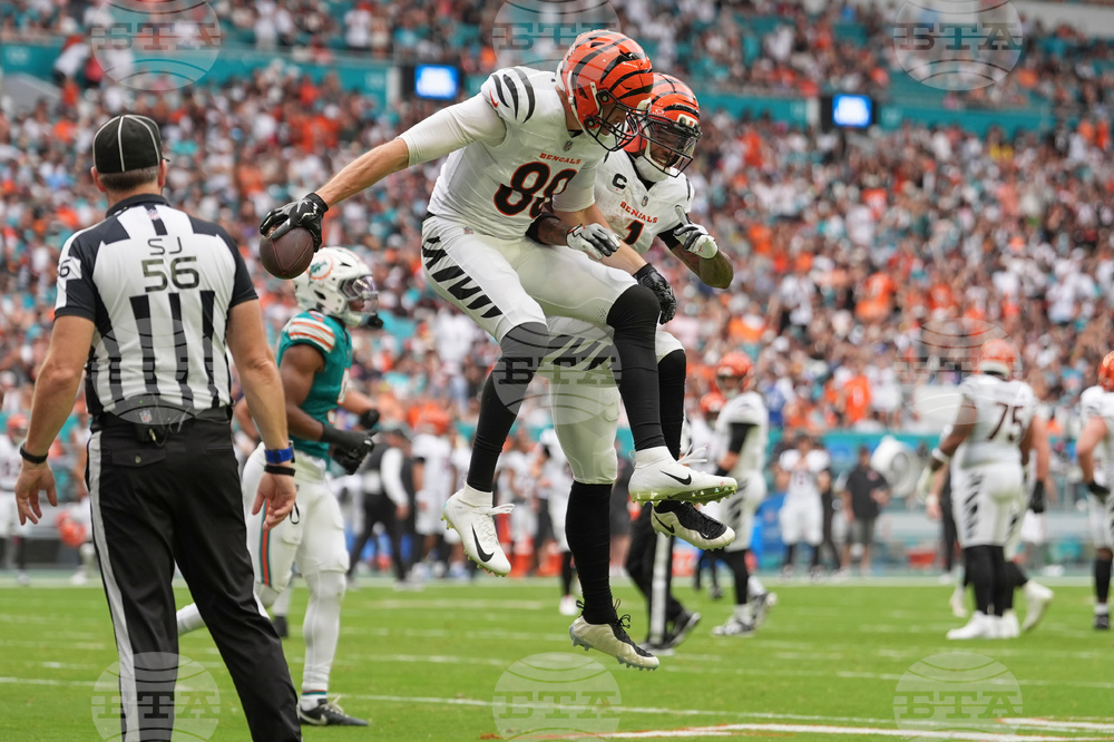 Bengals Dolphins Football