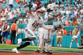 Bengals Dolphins Football