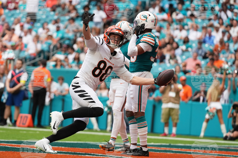 Bengals Dolphins Football