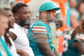 Bengals Dolphins Football