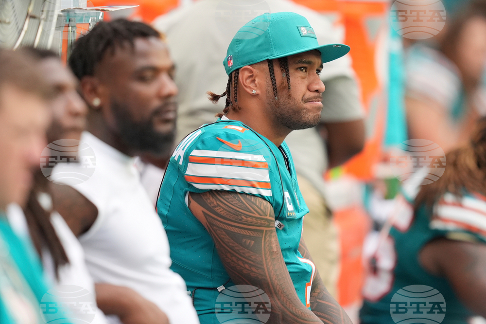 Bengals Dolphins Football