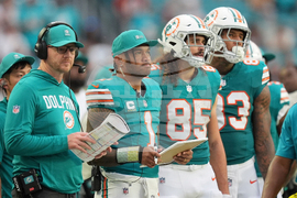 Bengals Dolphins Football