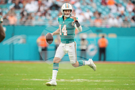 Bengals Dolphins Football