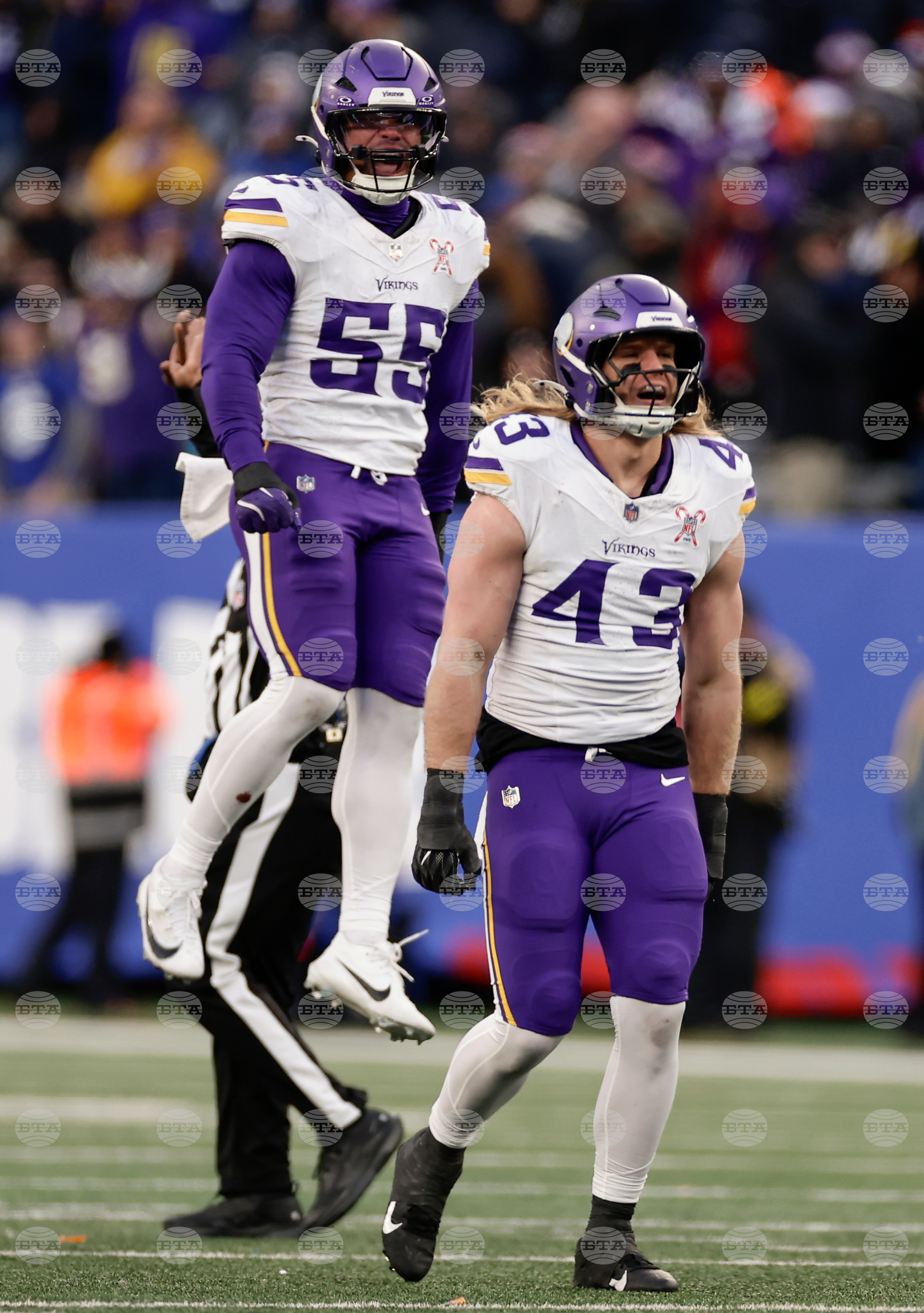 Vikings Giants Football