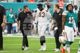 Bengals Dolphins Football