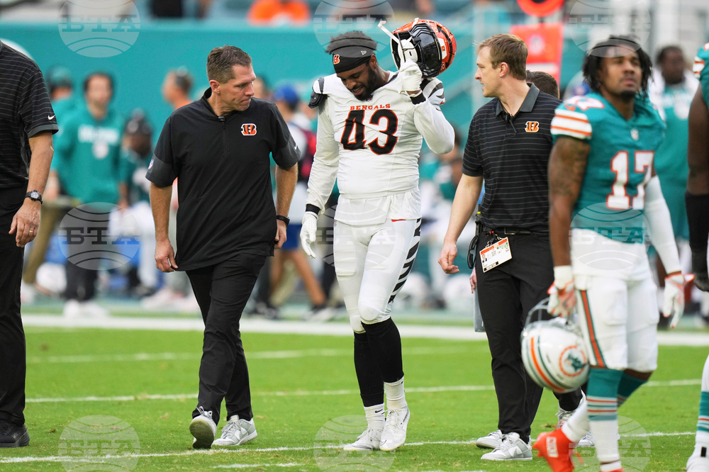 Bengals Dolphins Football