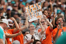 Bengals Dolphins Football