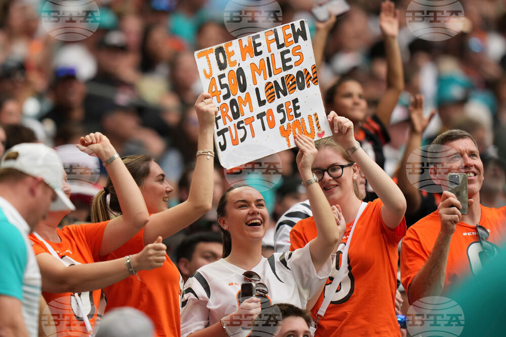 Bengals Dolphins Football