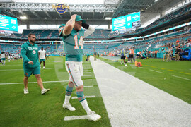 Bengals Dolphins Football