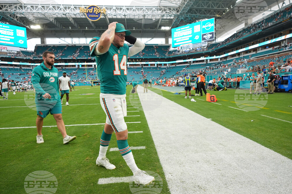 Bengals Dolphins Football