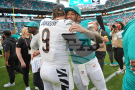 Bengals Dolphins Football