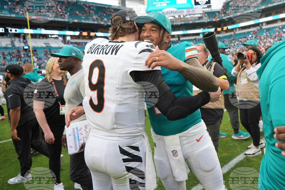 Bengals Dolphins Football