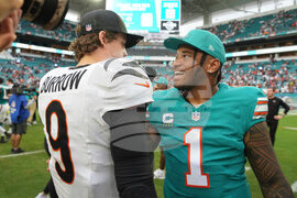 Bengals Dolphins Football