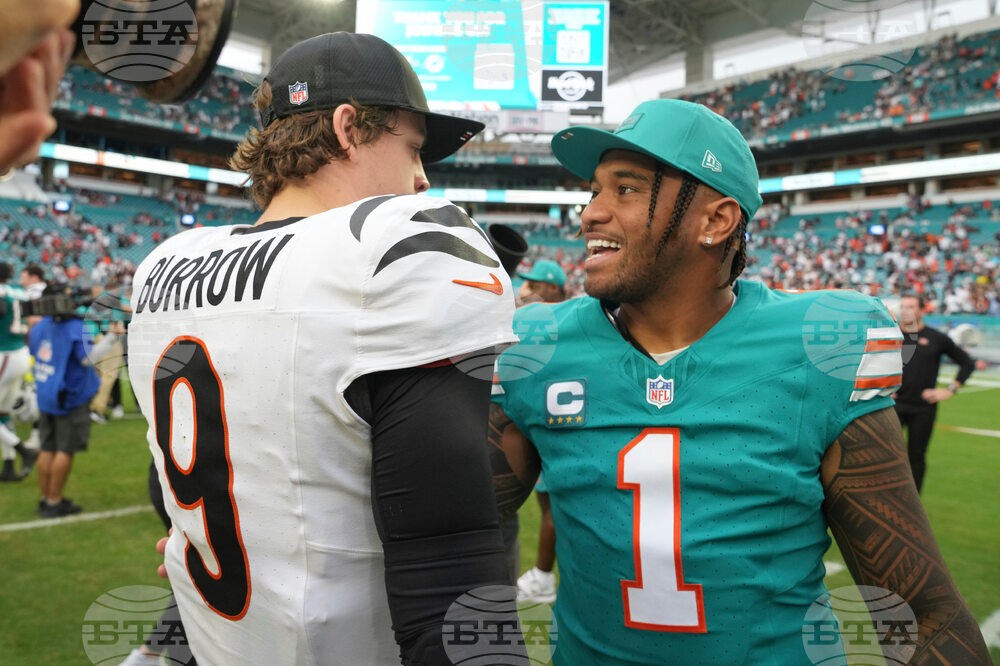 Bengals Dolphins Football