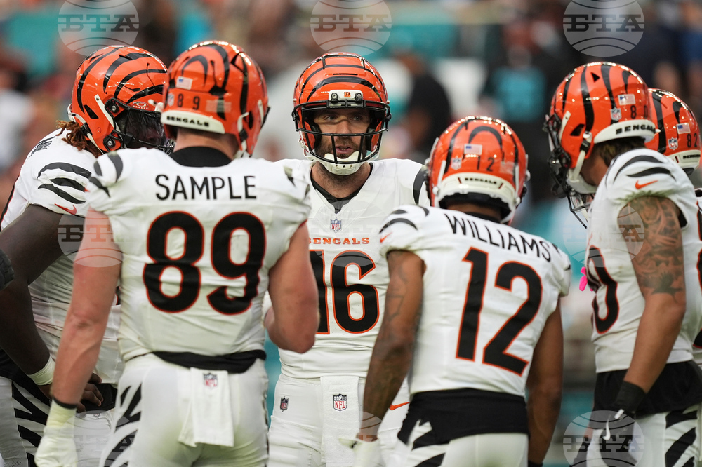 Bengals Dolphins Football