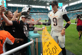 Bengals Dolphins Football