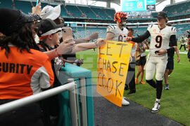 Bengals Dolphins Football