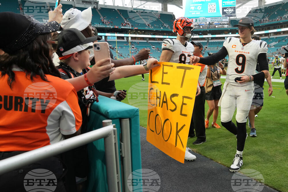 Bengals Dolphins Football