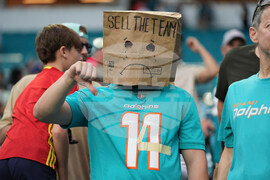 Bengals Dolphins Football