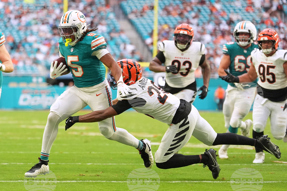 Bengals Dolphins Football