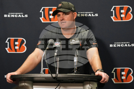 Bengals Dolphins Football