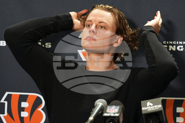 Bengals Dolphins Football