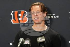 Bengals Dolphins Football