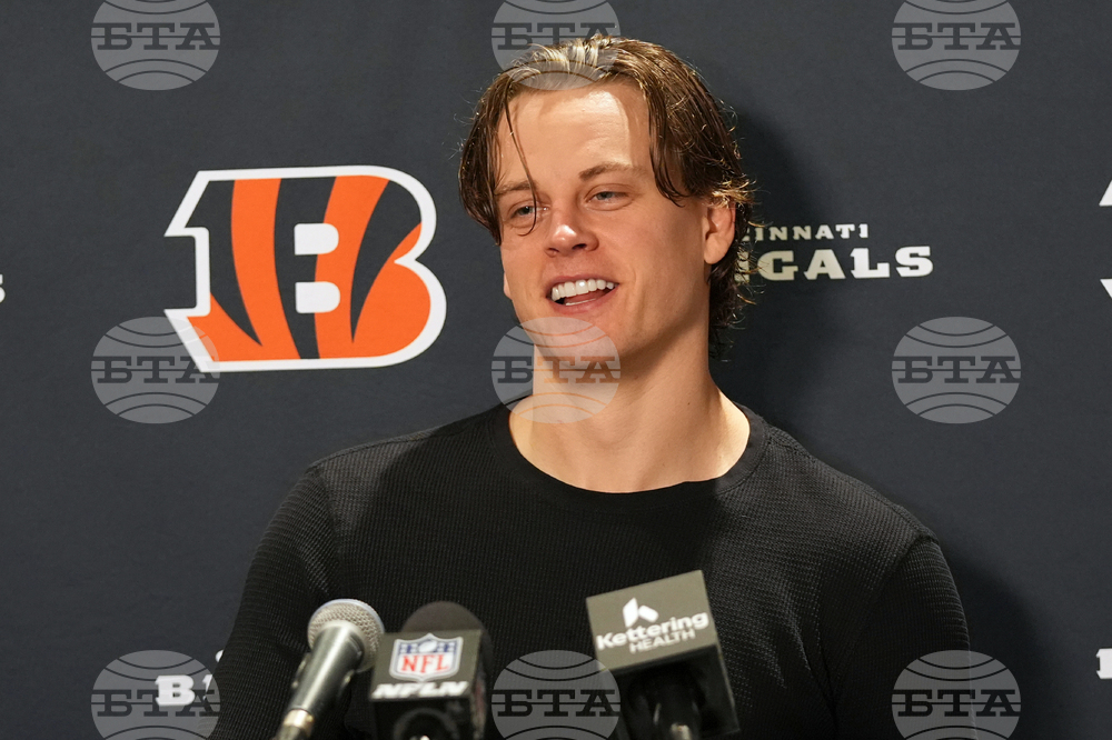 Bengals Dolphins Football