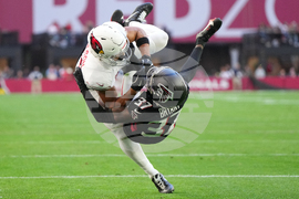APTOPIX Falcons Cardinals Football