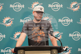 Bengals Dolphins Football