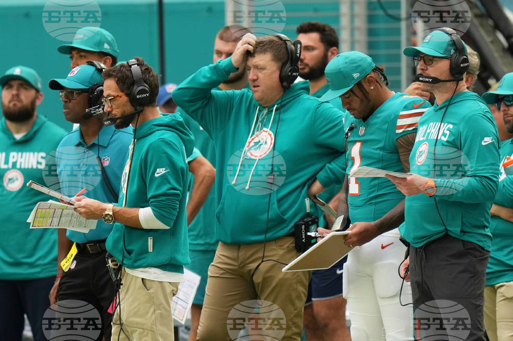 Bengals Dolphins Football