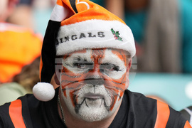 Bengals Dolphins Football