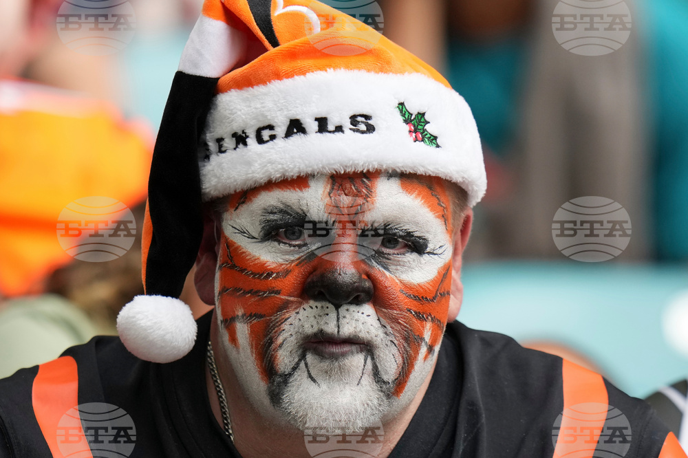 Bengals Dolphins Football