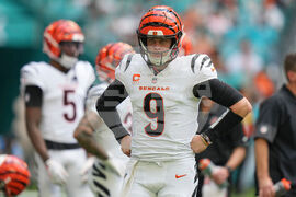 Bengals Dolphins Football