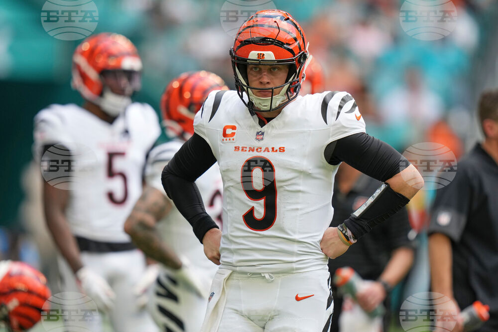 Bengals Dolphins Football