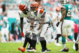 Bengals Dolphins Football