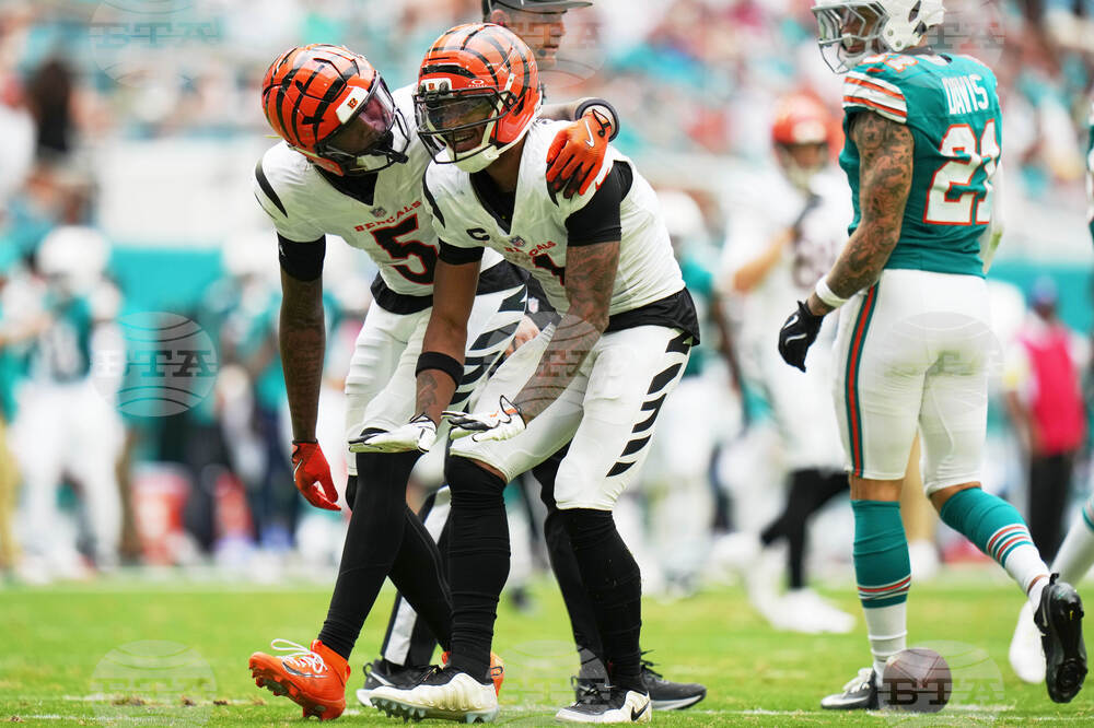 Bengals Dolphins Football