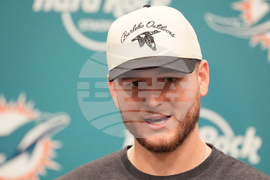 Bengals Dolphins Football