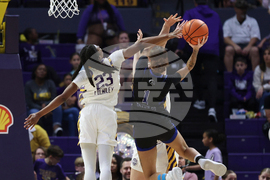 Texas Arlington LSU Basketball