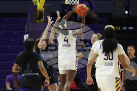 Texas Arlington LSU Badsketball